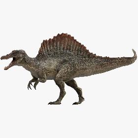 Red Fox Fur Rigged 3D model